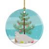 NEW White Persian Traditional Cat Christmas Ceramic Ornament Christmas Tree Hanging Decorations for Home Christmas Holiday, Party, Gift, 3 in