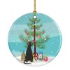 NEW Devon Rex Cat Christmas Ceramic Ornament Christmas Tree Hanging Decorations for Home Christmas Holiday, Party, Gift, 3 in, Multicolor
